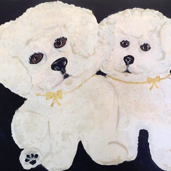 Bichon Frise